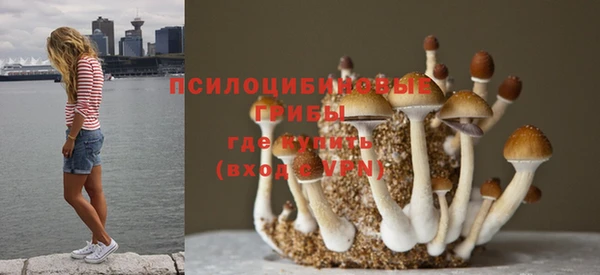 сатива Магас