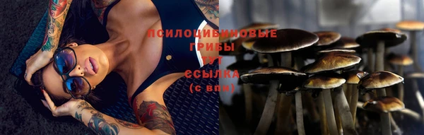 ECSTASY Лихославль