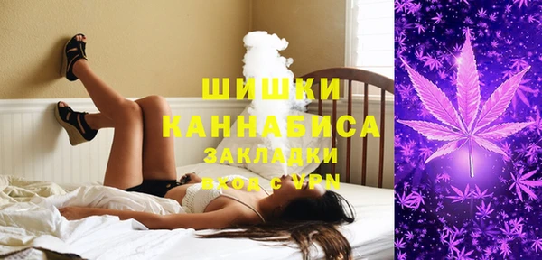 спиды Липки