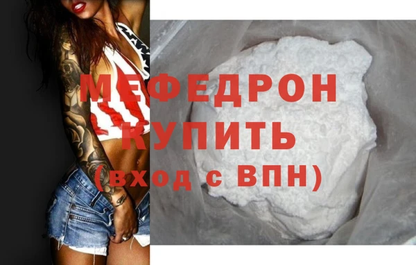 индика Долгопрудный