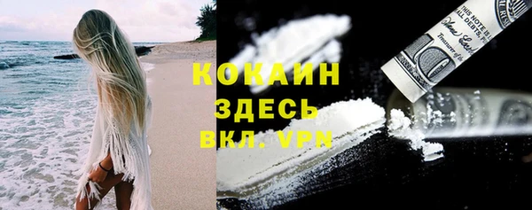 ПСИЛОЦИБИНОВЫЕ ГРИБЫ Лиски