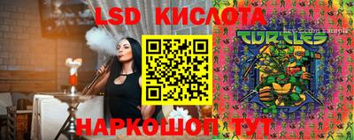 спиды Кандалакша