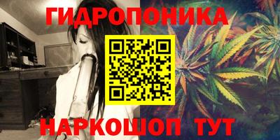 спиды Кандалакша