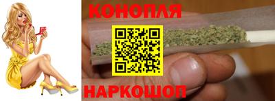 прущие крисы Камышлов
