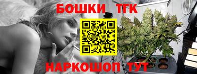 шишки Канаш