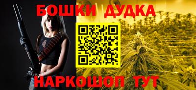 прущие крисы Камышлов