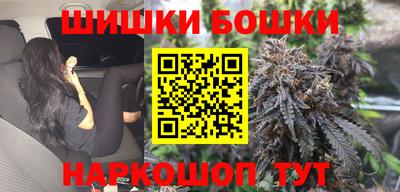 прущие крисы Камышлов