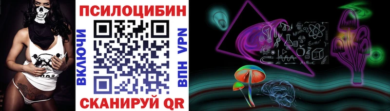Псилоцибиновые грибы MAGIC MUSHROOMS  купить закладку  Михайловка 