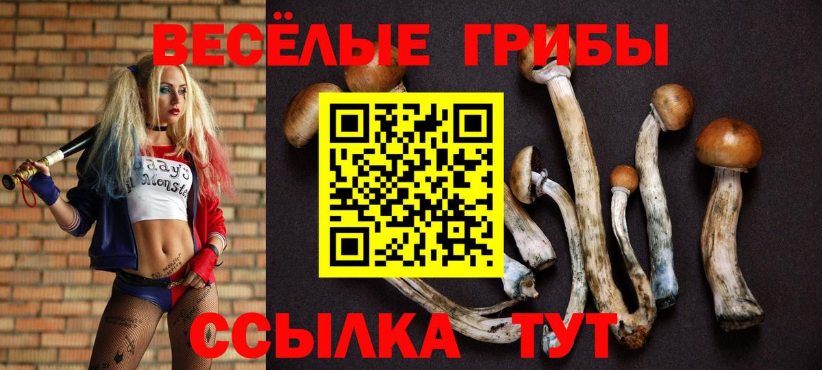 Псилоцибиновые грибы мухоморы  Вход с VPN  Михайловка 