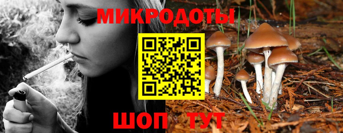 Псилоцибиновые грибы мухоморы Михайловка